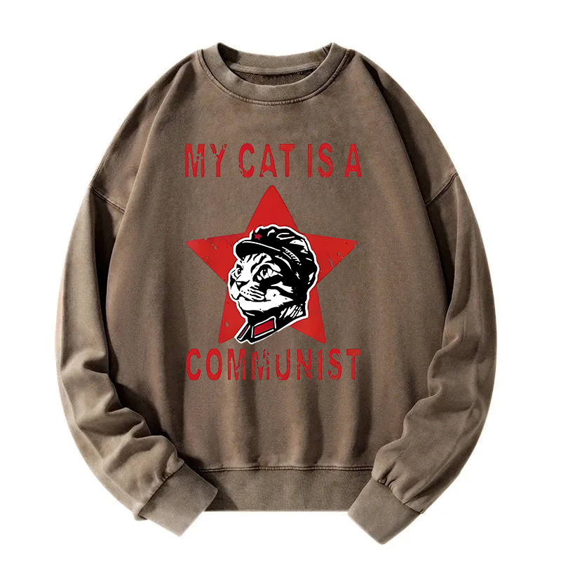 Funny Cat-ism Washed Sweatshirt