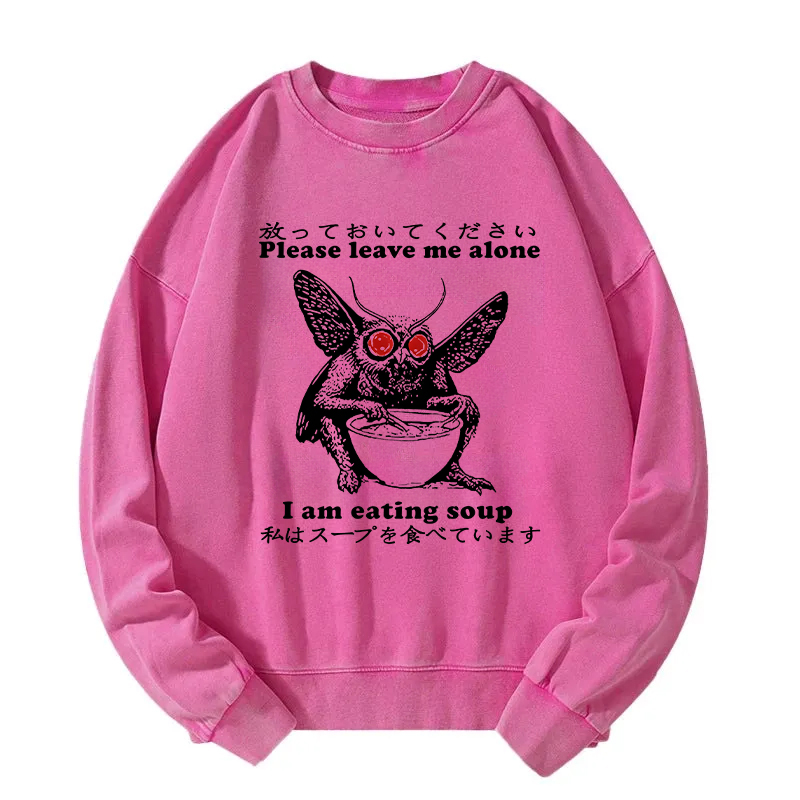 Don't Bother The Mothman Washed Sweatshirt