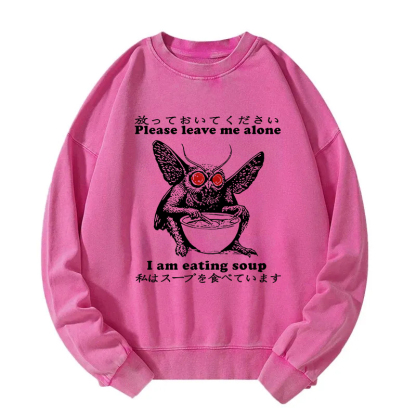Don't Bother The Mothman Washed Sweatshirt