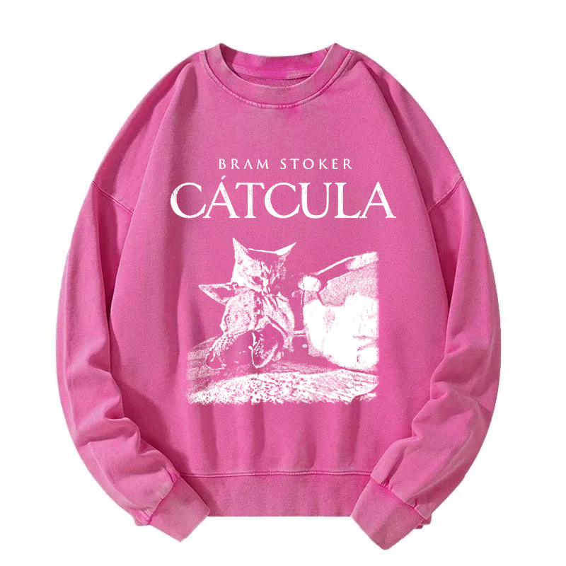 Vampire Catcula Washed Sweatshirt