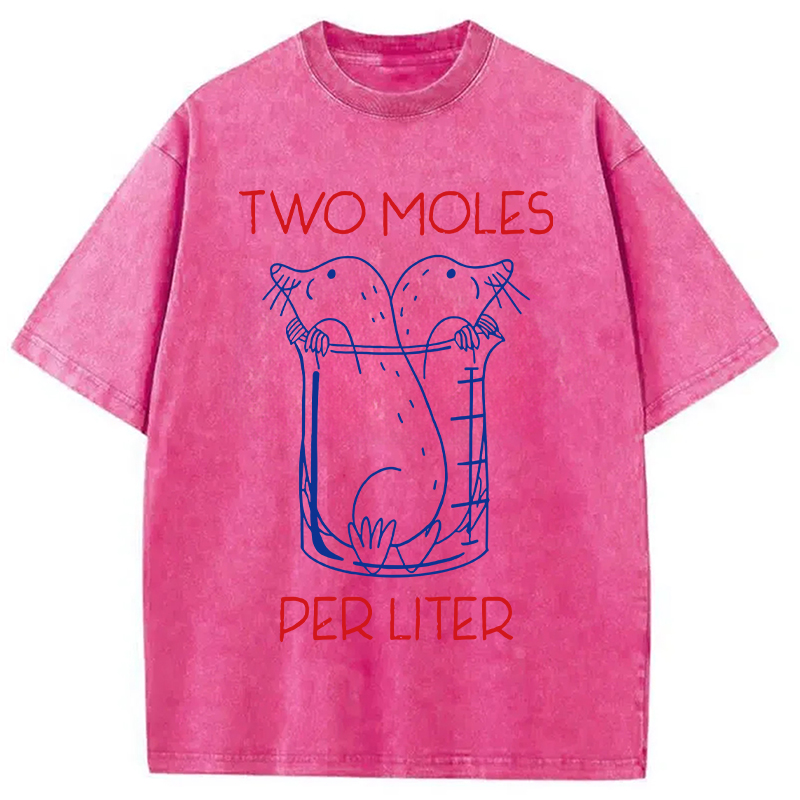 Two Moles Per Liter Washed T-Shirt