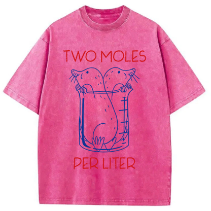 Two Moles Per Liter Washed T-Shirt