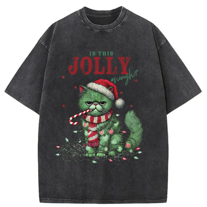 Christmas Gift Washed T-Shirt