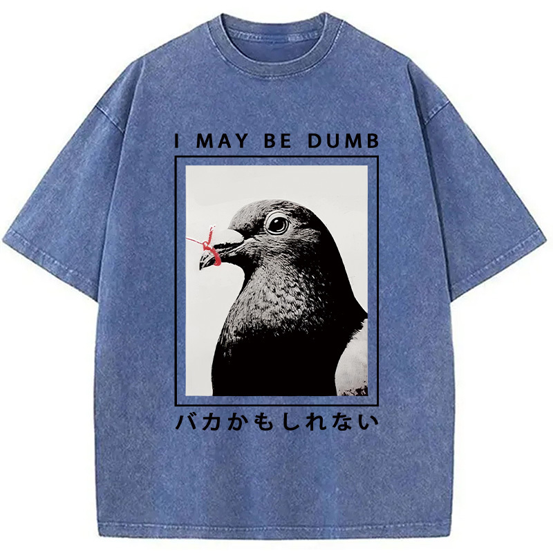 I May Be Dumb Funny Washed T-Shirt