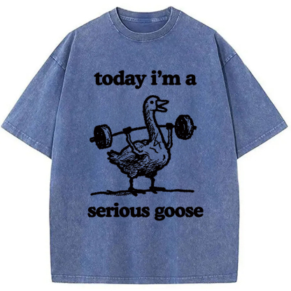Fitness Goose Washed T-Shirt