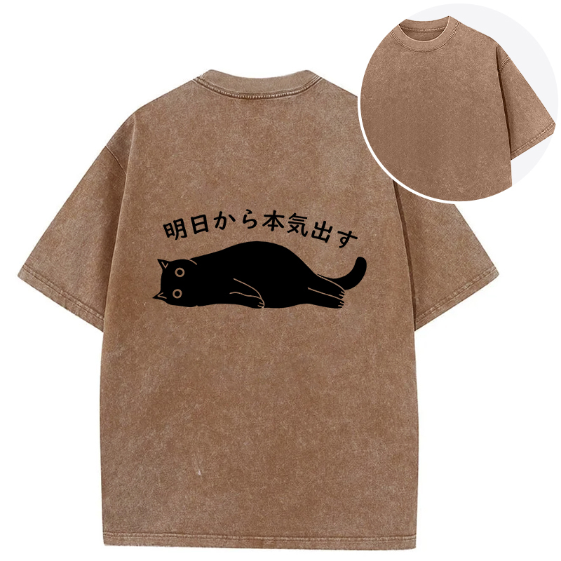 I'm Going To Get Serious Tomorrow Back Washed T-Shirt