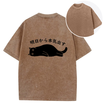 I'm Going To Get Serious Tomorrow Back Washed T-Shirt