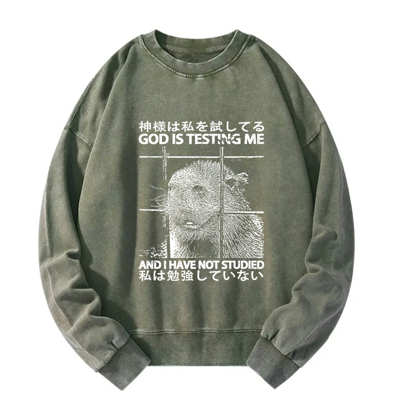 God Is Testing Me Washed Sweatshirt