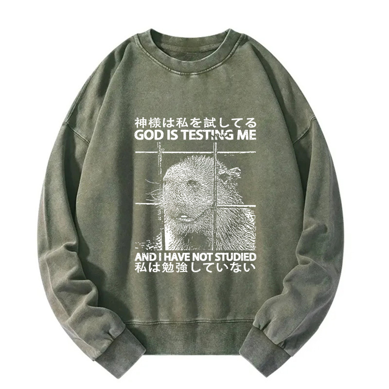 God Is Testing Me Washed Sweatshirt