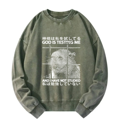 God Is Testing Me Washed Sweatshirt