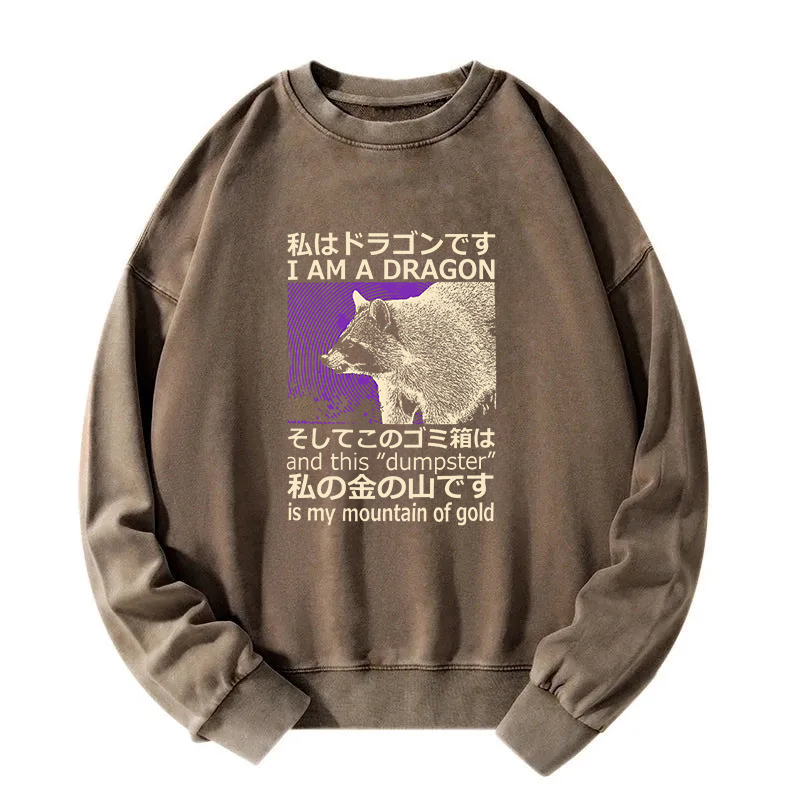 I Am A Dragon and this "Dumpster" is My Mountain of Gold Washed Sweatshirt