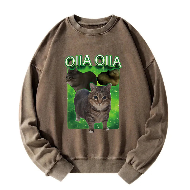 Oiia Cat Funny Meme Washed Sweatshirt