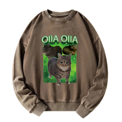 Oiia Cat Funny Meme Washed Sweatshirt