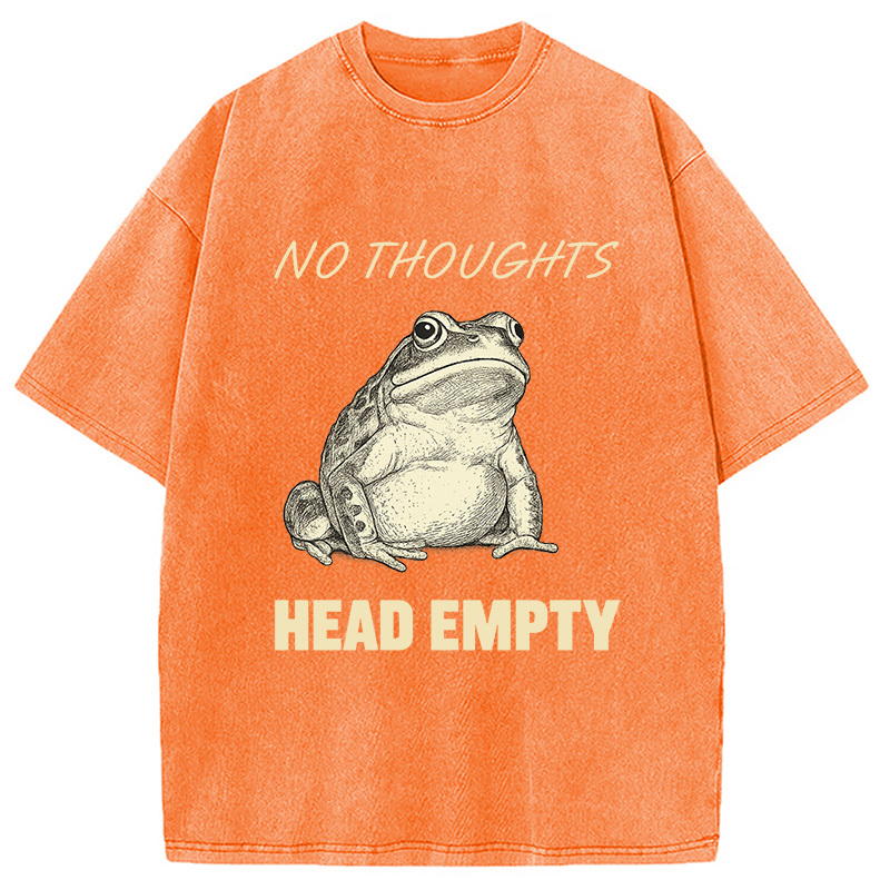 No Thoughts Frog Washed T-Shirt