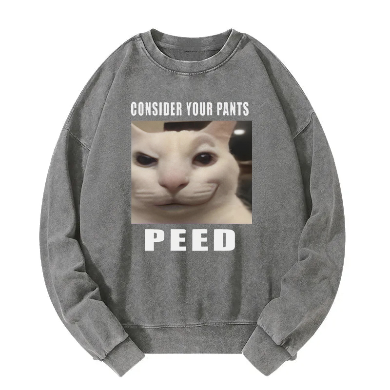Consider Your Pants Peed Meme Washed Sweatshirt