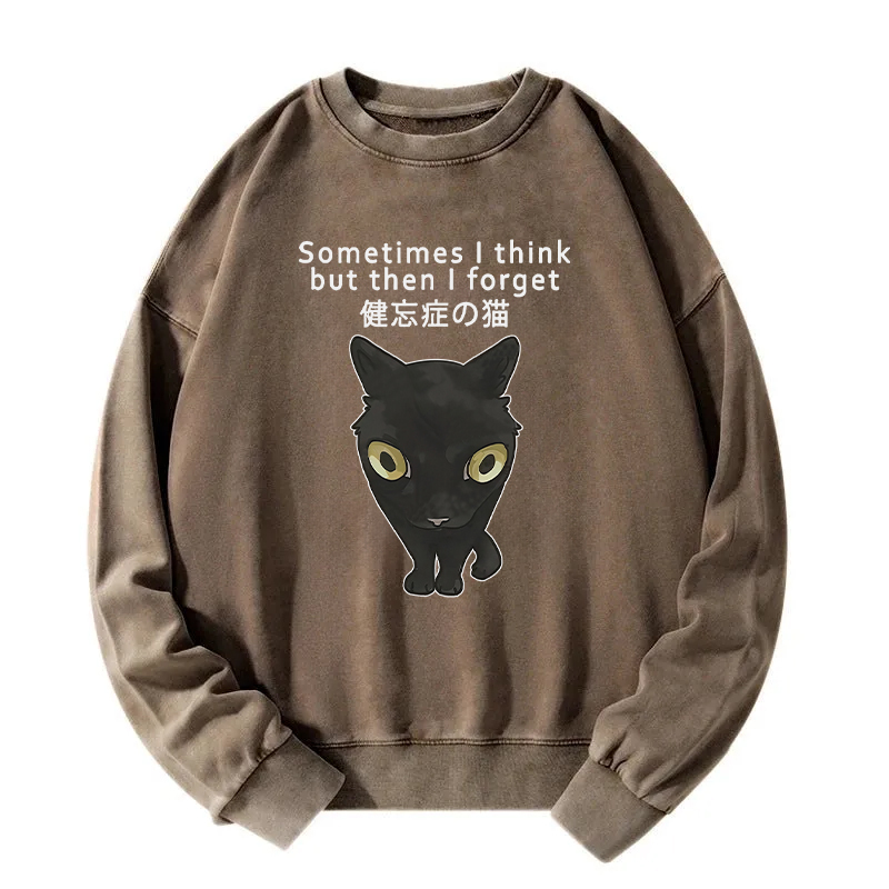 Amnesiac Cat Washed Sweatshirt
