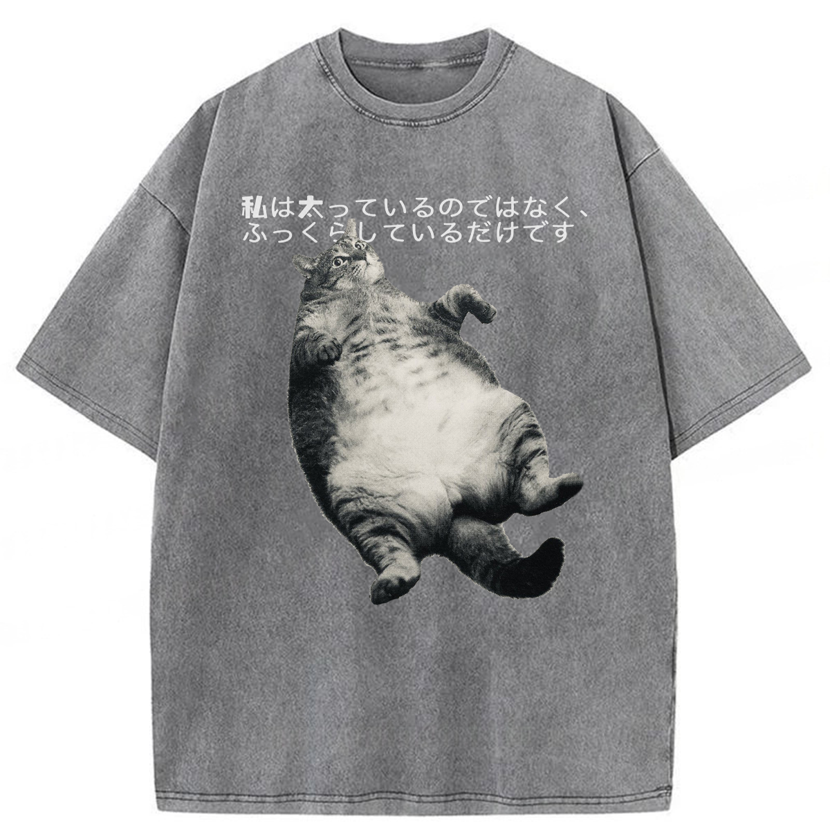 Tokyoviva I'm Not Fat I'm Fluffy Washed T-shirt