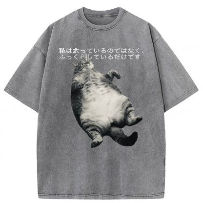 Tokyoviva I'm Not Fat I'm Fluffy Washed T-shirt