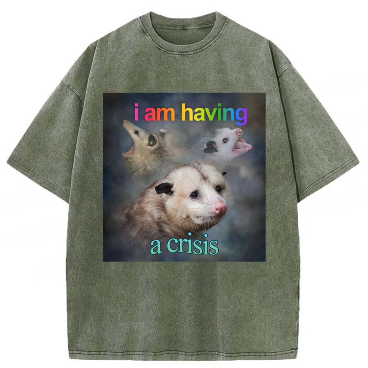Tokyoviva I Am Having A Crisis Possum Washed T-shirt