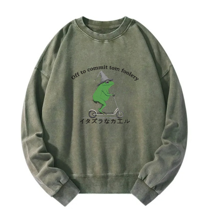 Stupid Frog Washed Sweatshirt