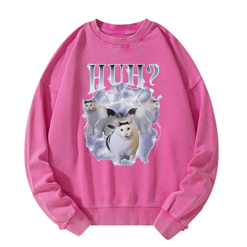 Huh Cat Chonky Ben Meme Washed Sweatshirt