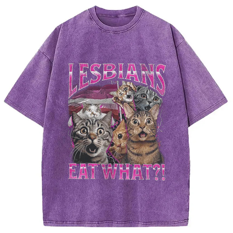Lesbians Eat What?! Funny Washed T-Shirt