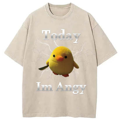 Today I'm Angry Washed T-Shirt