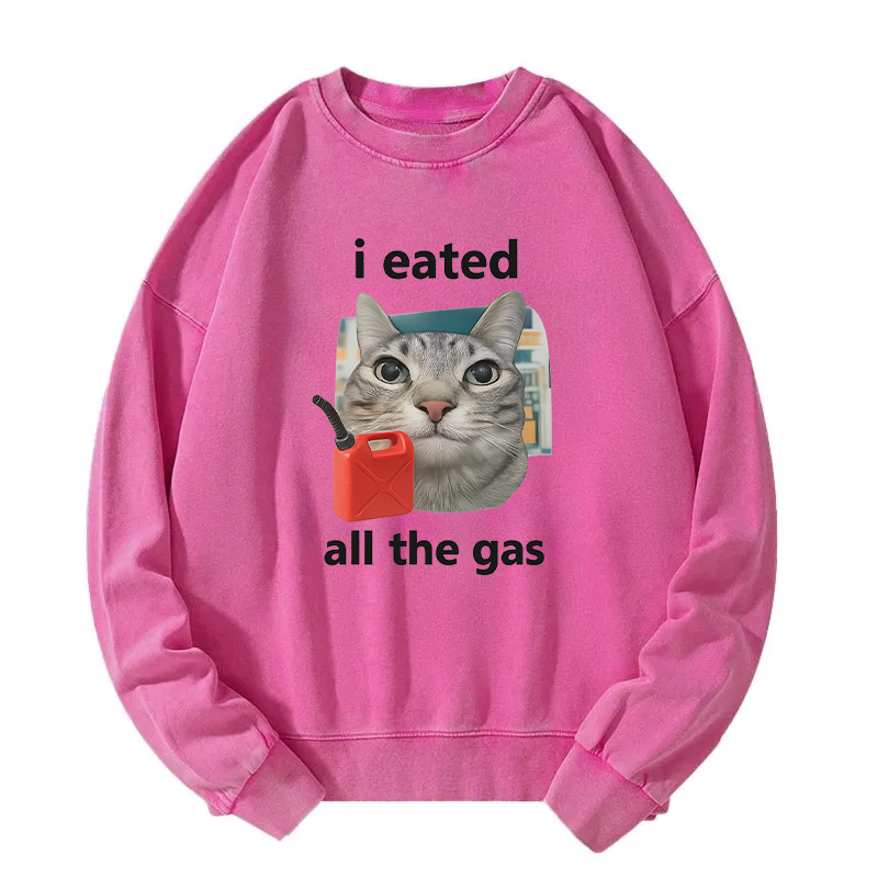I Eated All The Gas Cat Funny Washed Sweatshirt