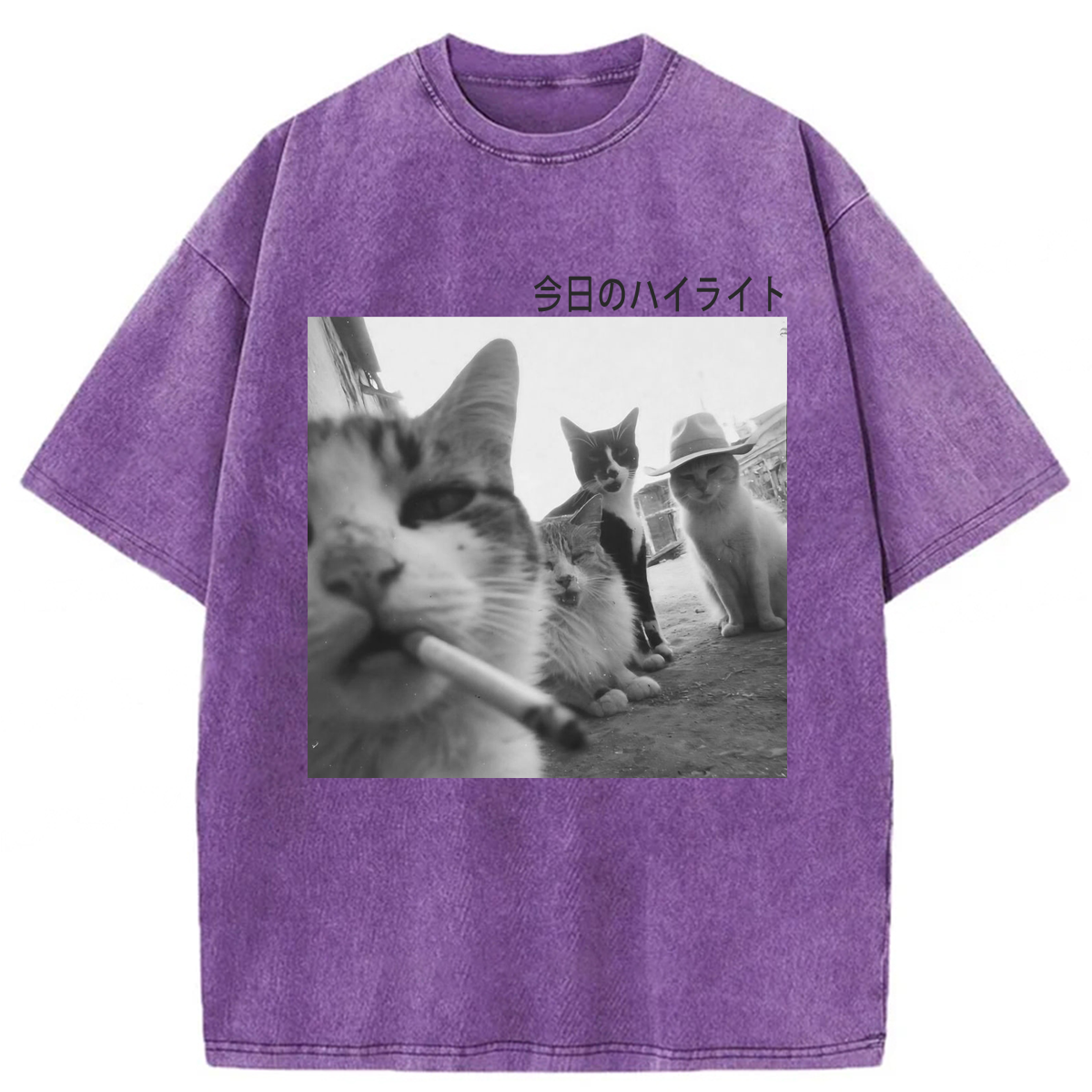 Tokyoviva Wonderful Moments Cats Washed T-shirt