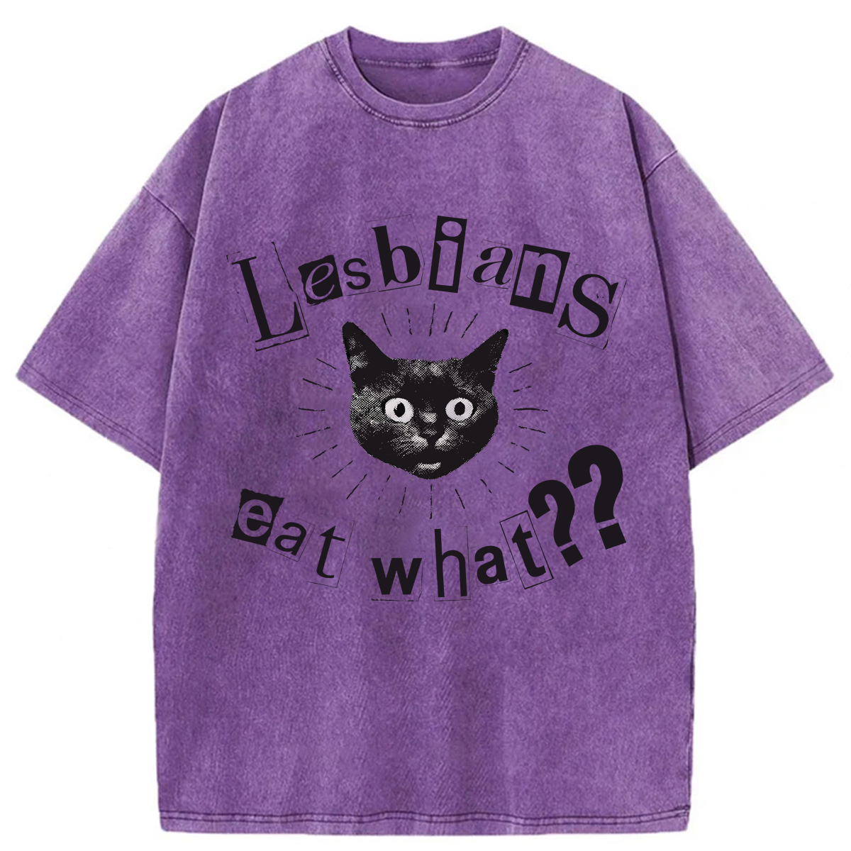 Tokyoviva Funny Lesbian Cat Washed T-shirt