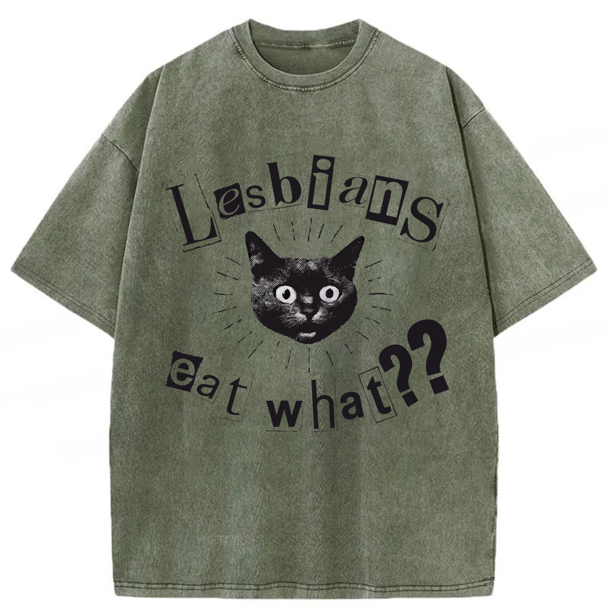 Tokyoviva Funny Lesbian Cat Washed T-shirt