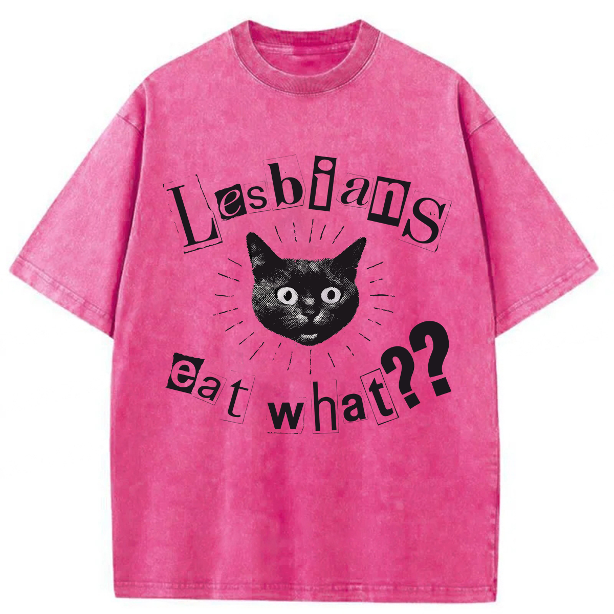 Tokyoviva Funny Lesbian Cat Washed T-shirt