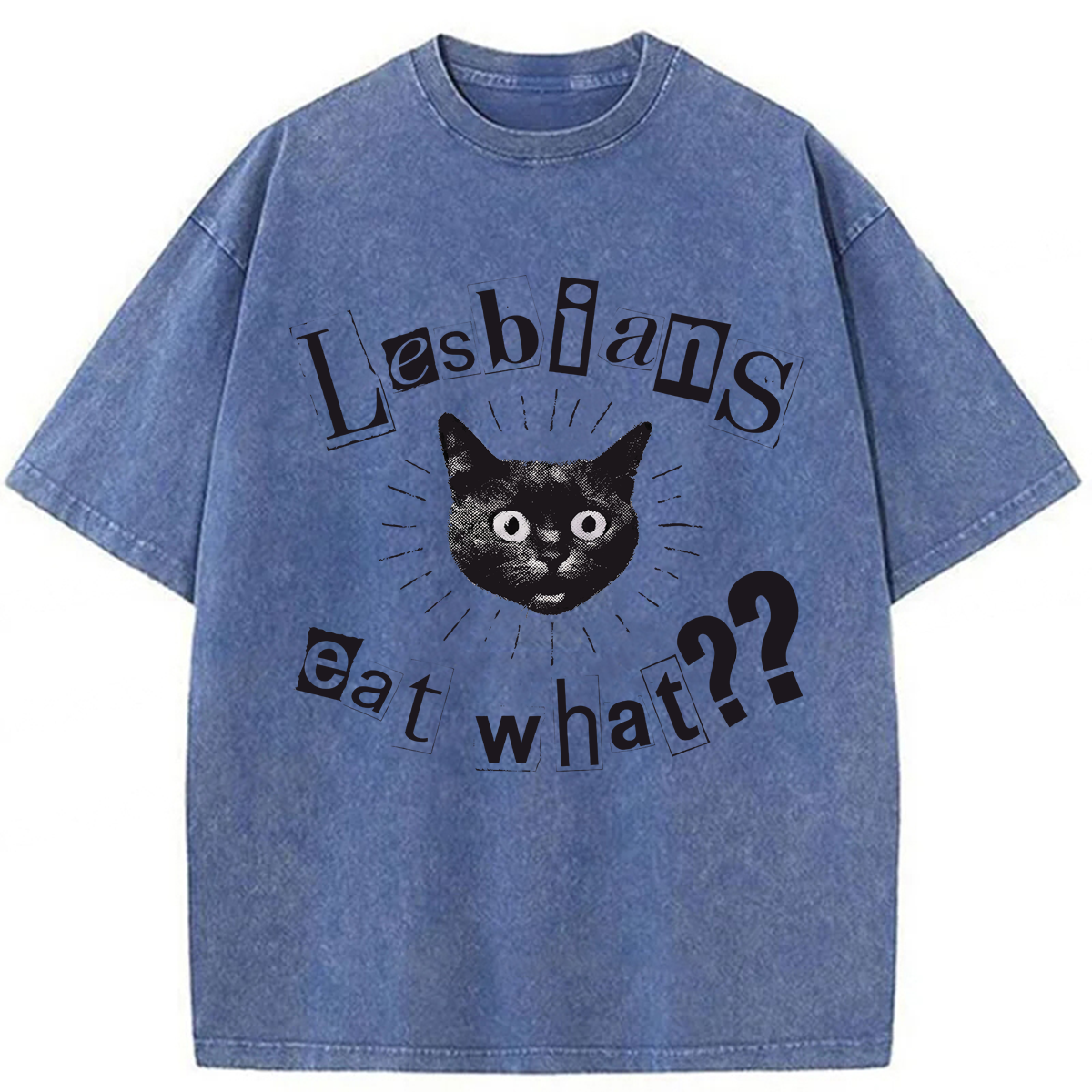 Tokyoviva Funny Lesbian Cat Washed T-shirt