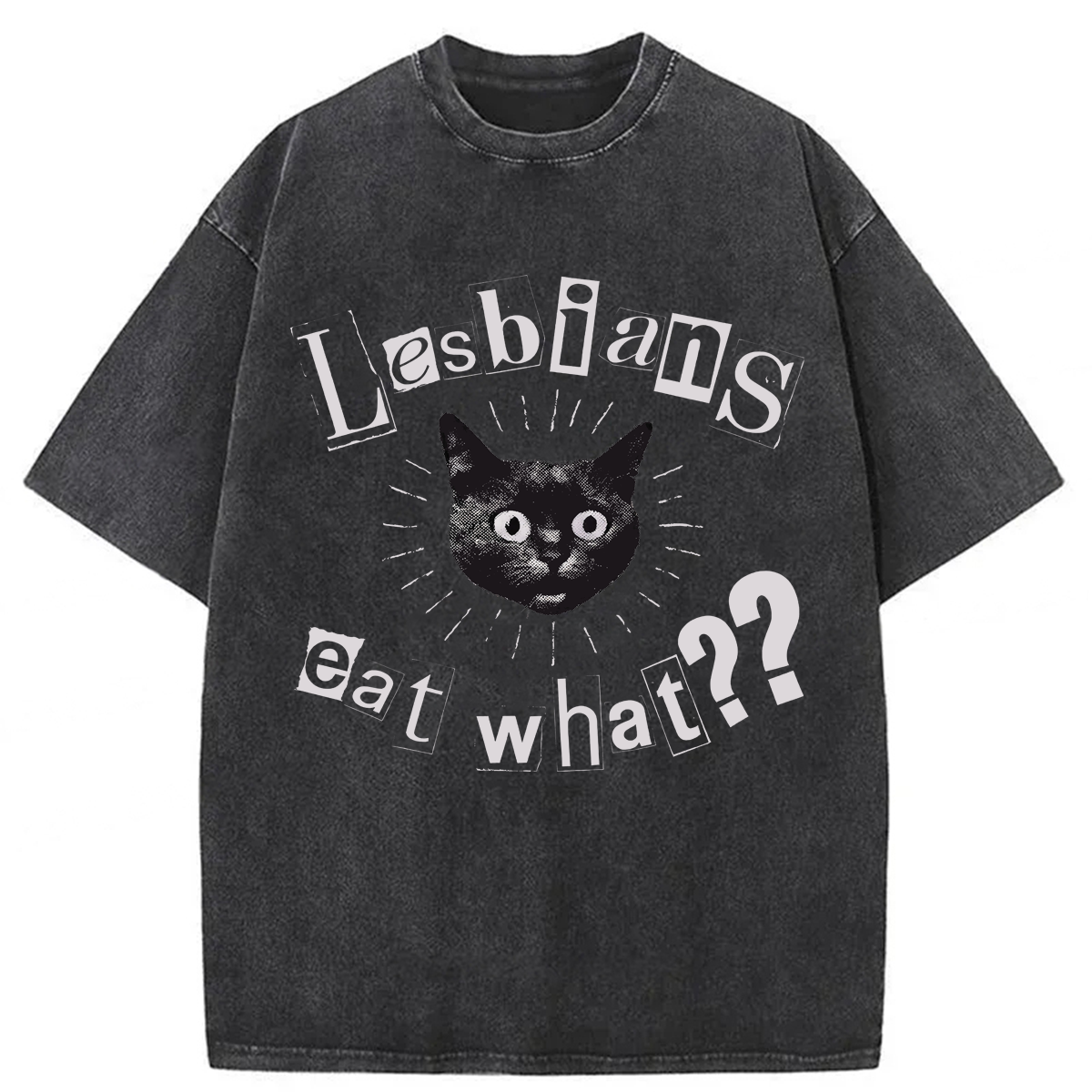 Tokyoviva Funny Lesbian Cat Washed T-shirt