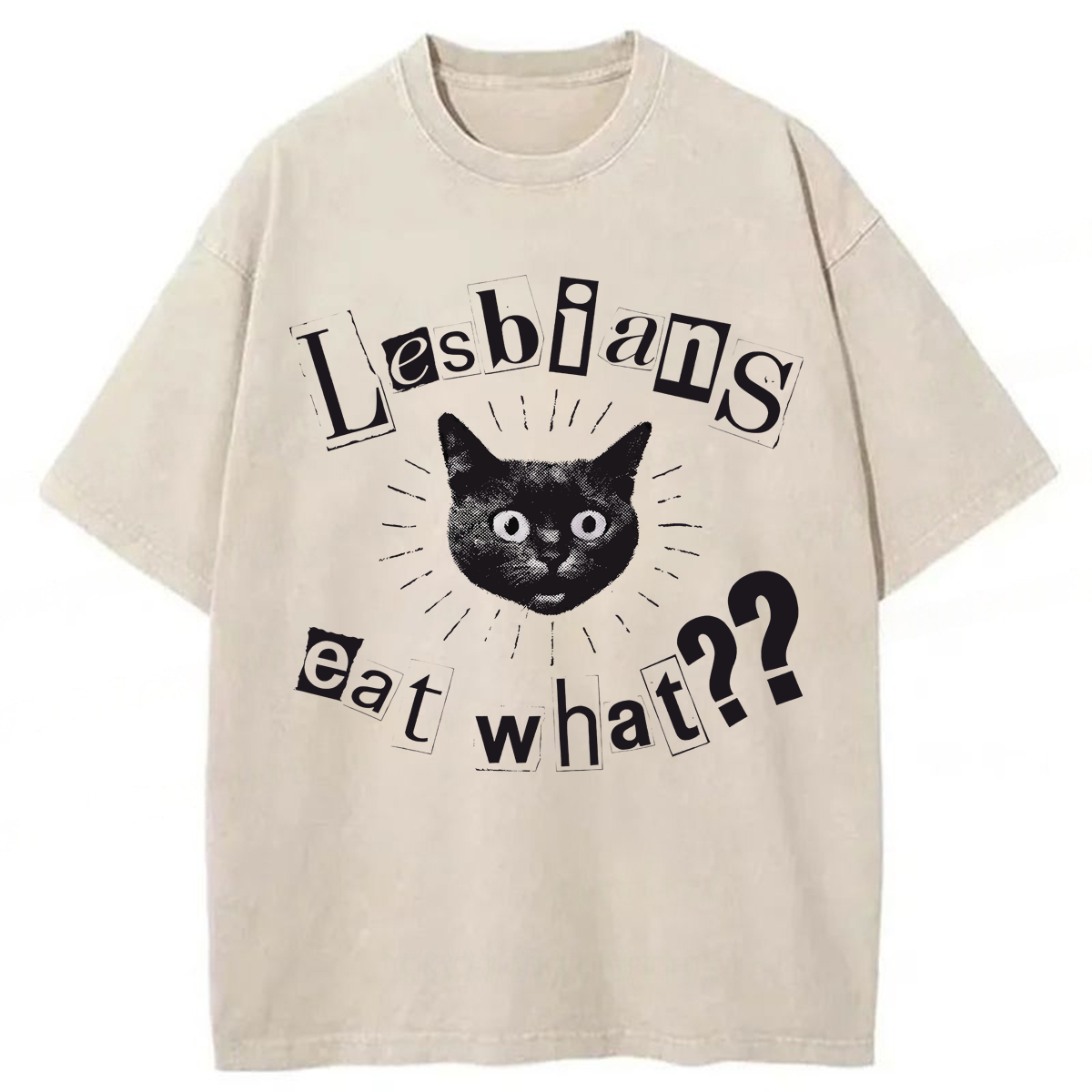 Tokyoviva Funny Lesbian Cat Washed T-shirt