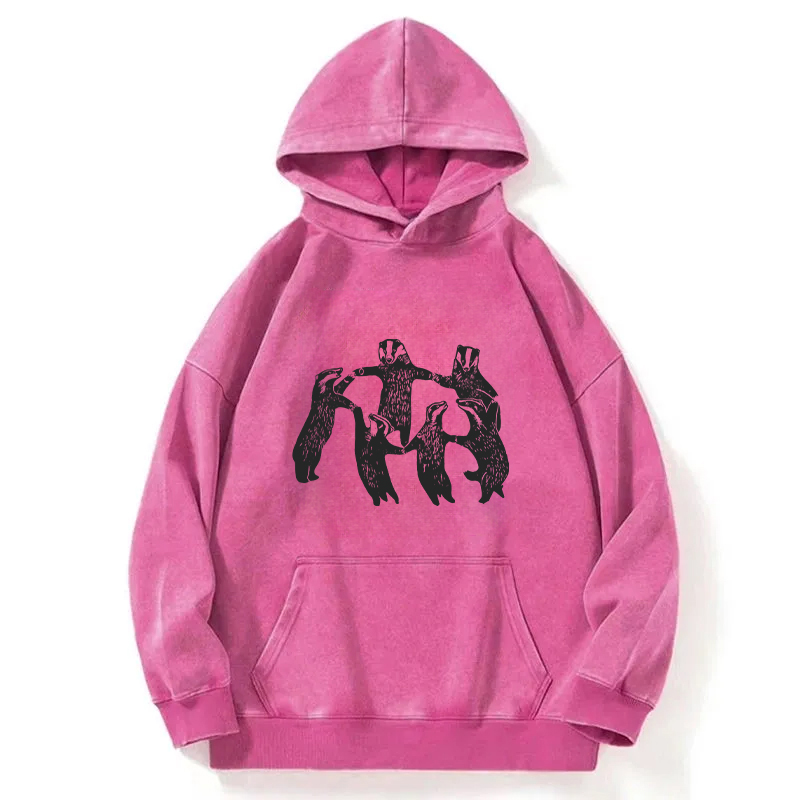 Raccoon Revelry Washed Hoodie