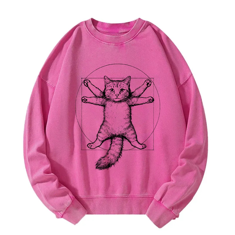 Da Vinci Cat Washed Sweatshirt