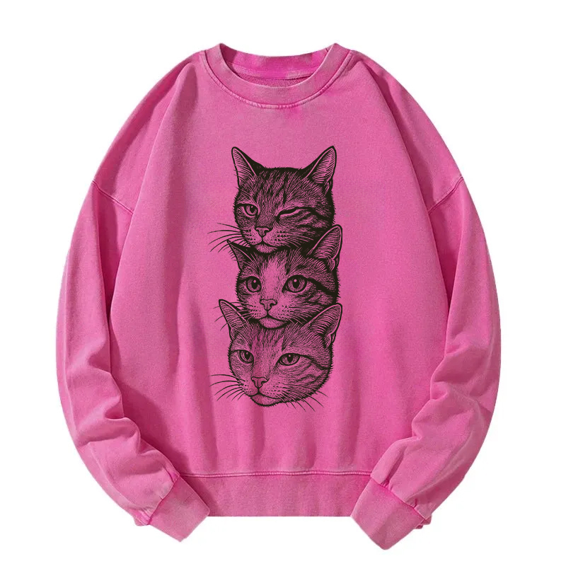 Three Cat Heads Washed Sweatshirt