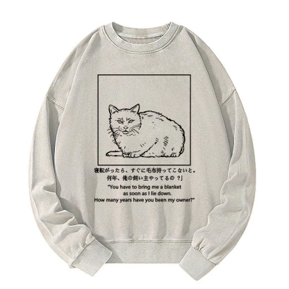 Cat Instructs Owner Washed Sweatshirt