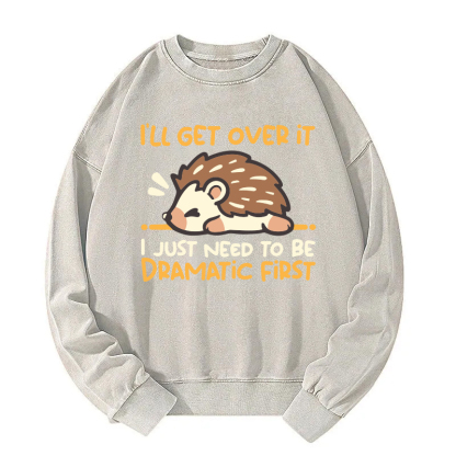 Dramatic Hedgehog Washed Sweatshirt