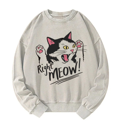 Right Meow Funny Cat Meme Washed Sweatshirt