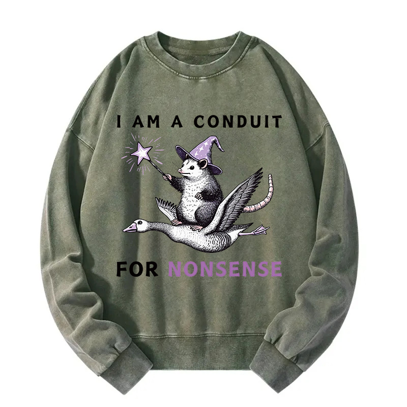 Opossum Riding Flying Goose Washed Sweatshirt
