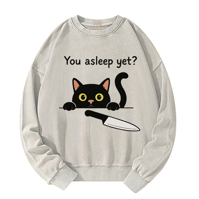 Cat With Murderous Intent Washed Sweatshirt