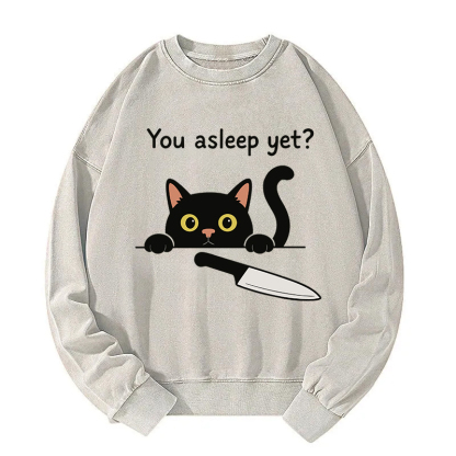 Cat With Murderous Intent Washed Sweatshirt