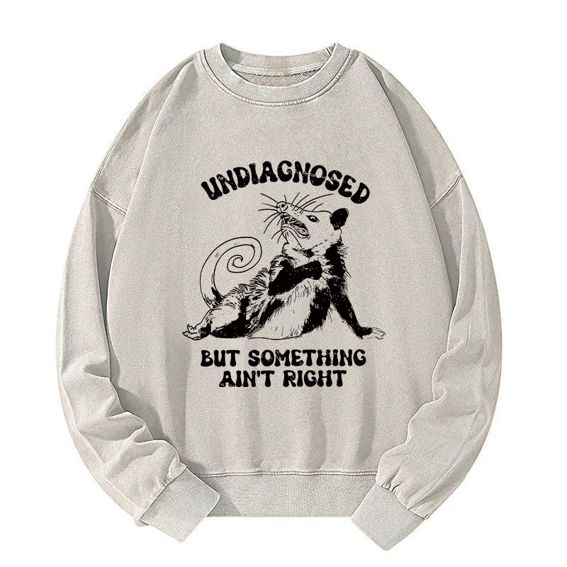 Undiagnosed Mental Health Opossum Washed Sweatshirt