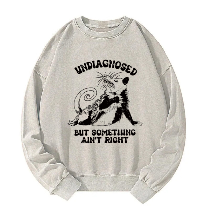 Undiagnosed Mental Health Opossum Washed Sweatshirt