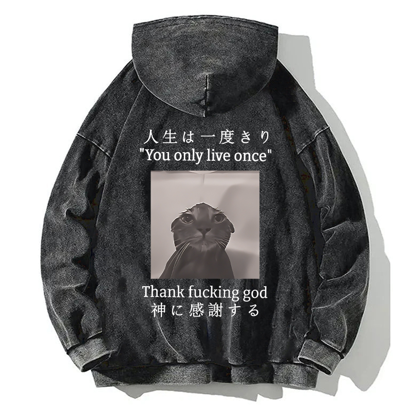 Funny Melancholy Cat Back Washed Hoodie