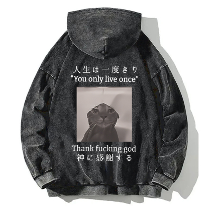 Funny Melancholy Cat Back Washed Hoodie