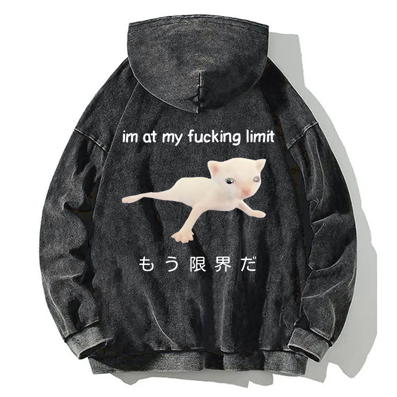 Cat Reaching Its Limit Back Washed Hoodie