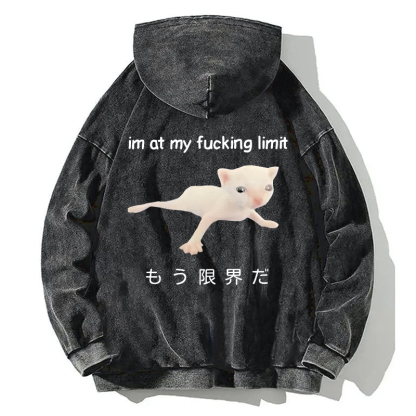 Cat Reaching Its Limit Back Washed Hoodie